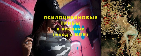 винт Алзамай