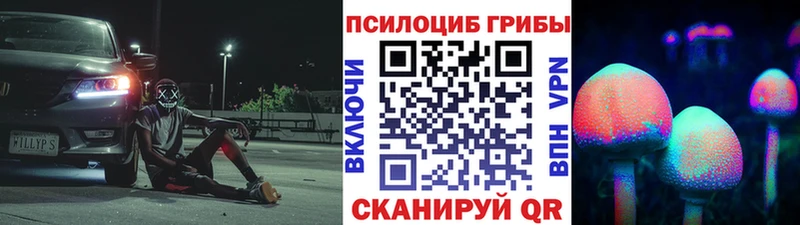 блэк спрут рабочий сайт  закладка  Гусь-Хрустальный  Псилоцибиновые грибы Psilocybine cubensis 
